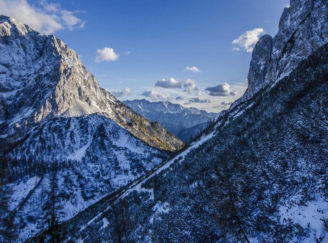 What to Expect: Pain, Cost, and the Tattoo Process