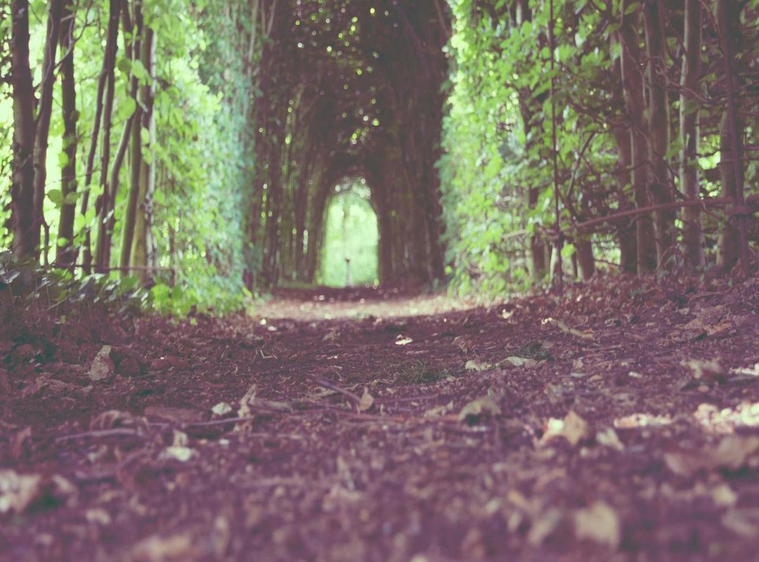 How to Activate Your Discovery+ Account on Your TV