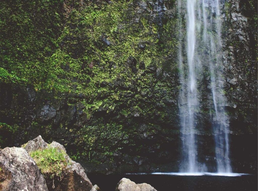 discoveryplus.com/samsung