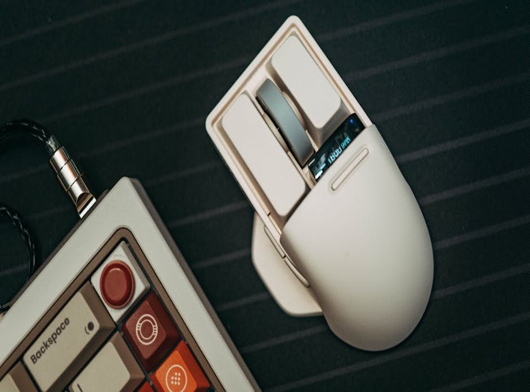 Dmgconselistas Gamesters Detailed Guide From Dmgaming