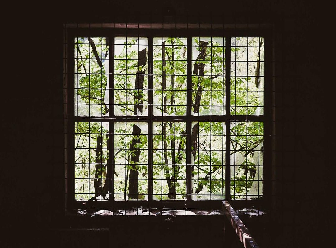 The Unseen Impact: Analyzing Defensive Stats and Player Plus-Minus