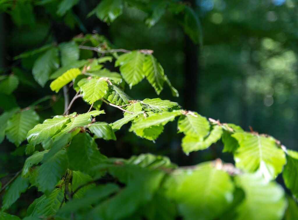 gaming environment lighting