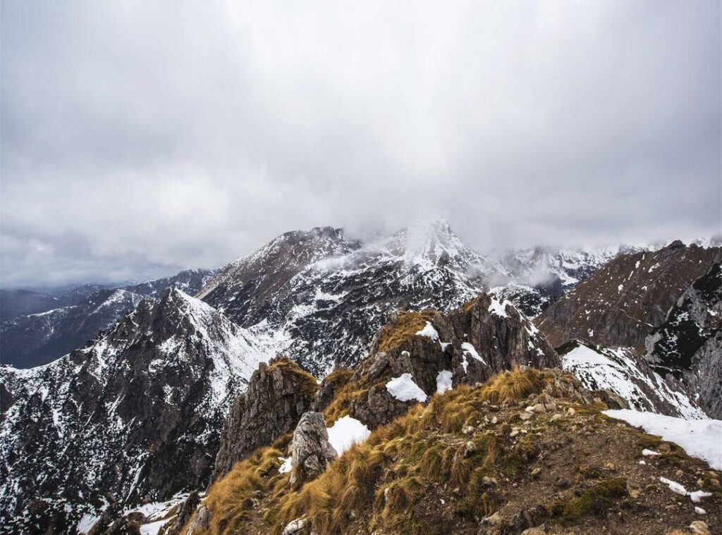 masculine lily tattoos for guys