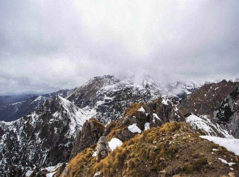 masculine lily tattoos for guys