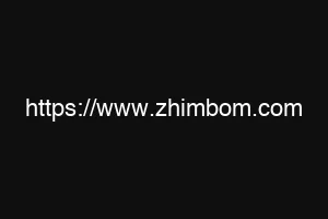 https://www.zhimbom.com